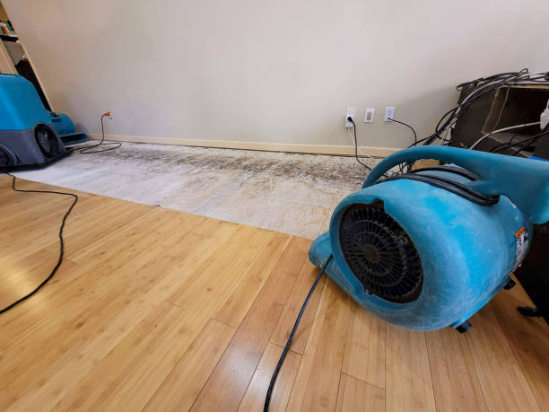 Professional Basement Flood Cleanup technician working in Fairview, TX